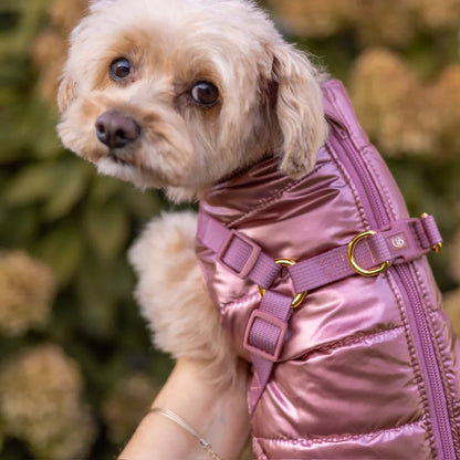 Winter-Hundemantel 2-in-1 (Gefüttert & Wasserfest) mit Geschirr – Rosa