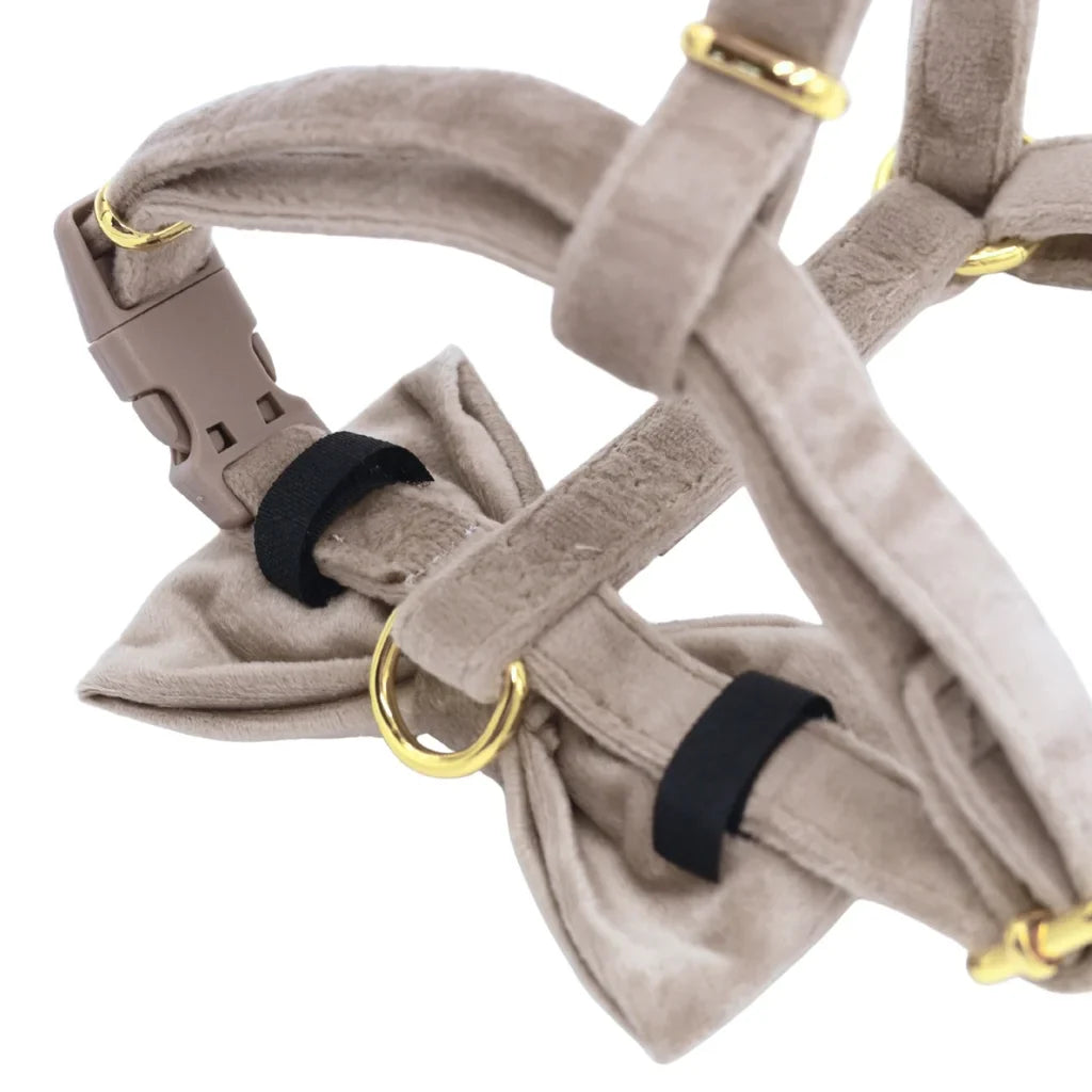 Hundefliege aus Samt – Beige