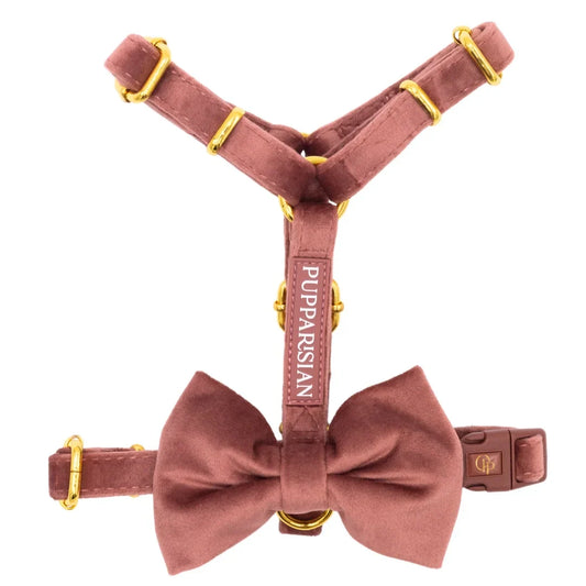 Samt-H-Geschirr mit Schleife – Altrosa