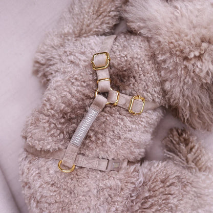 Samt-H-Geschirr – Beige