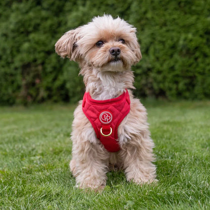 Druckfreies Hundegeschirr aus Samt – Rot