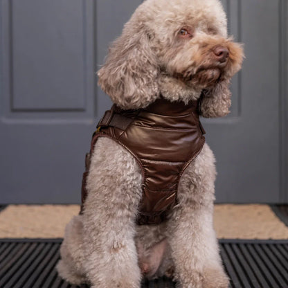 Winter-Hundemantel 2-in-1 (Gefüttert & Wasserfest) mit Geschirr – Braun