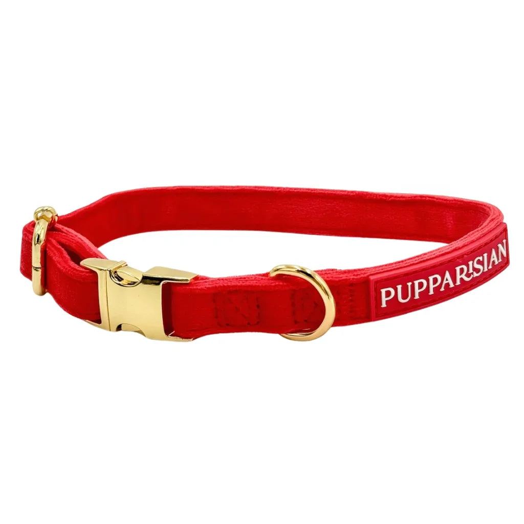 Samt-Halsband – Rot