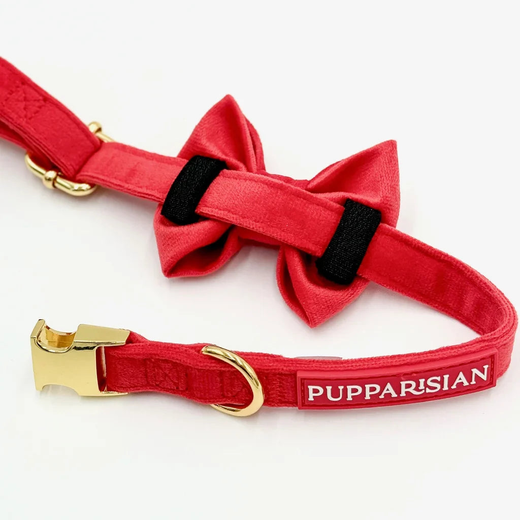 Samt-Halsband – Rot