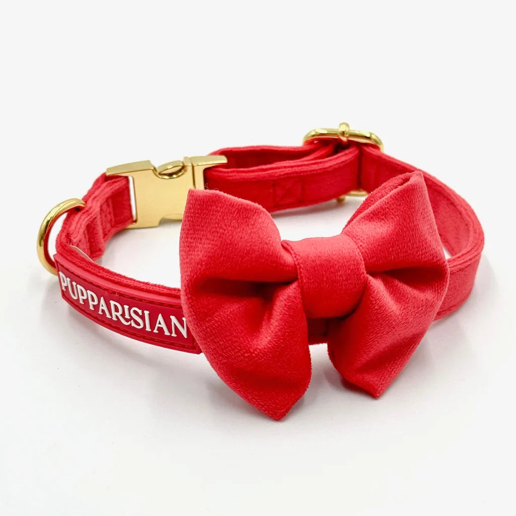 Samt-Halsband – Rot