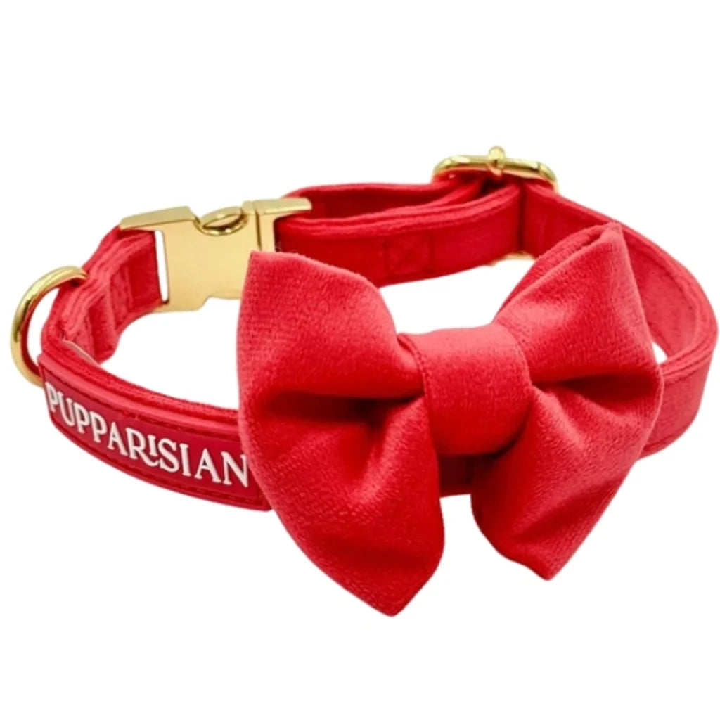 Samt-Halsband mit Fliege – Rot