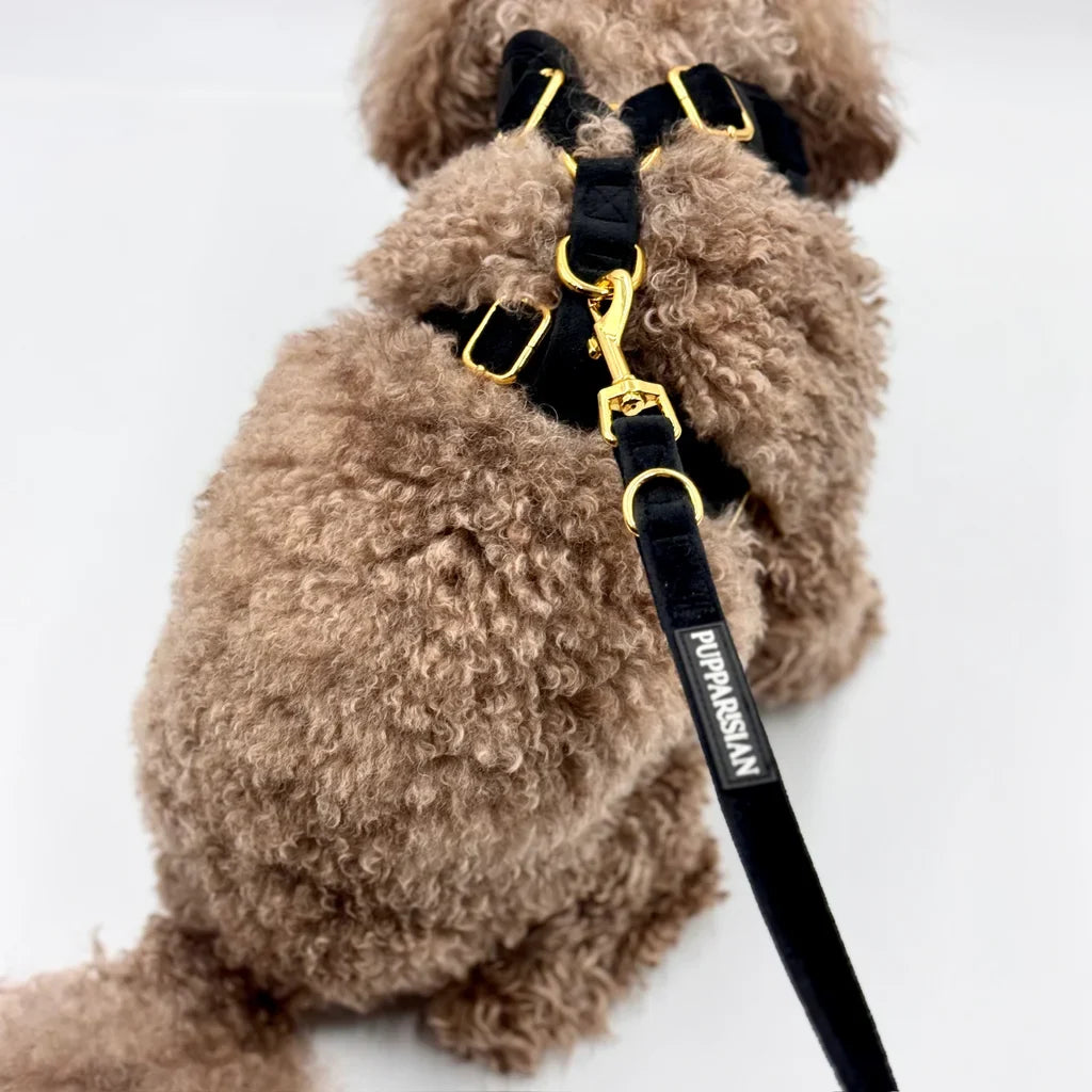 Klassische Samt-Hundeleine 190 cm – Schwarz