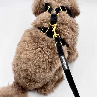 Klassische Samt-Hundeleine 190 cm – Schwarz