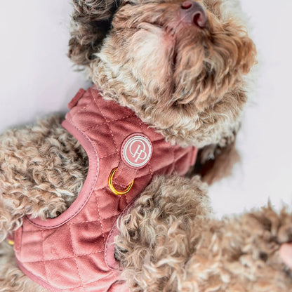 Druckfreies Hundegeschirr aus Samt – Altrosa