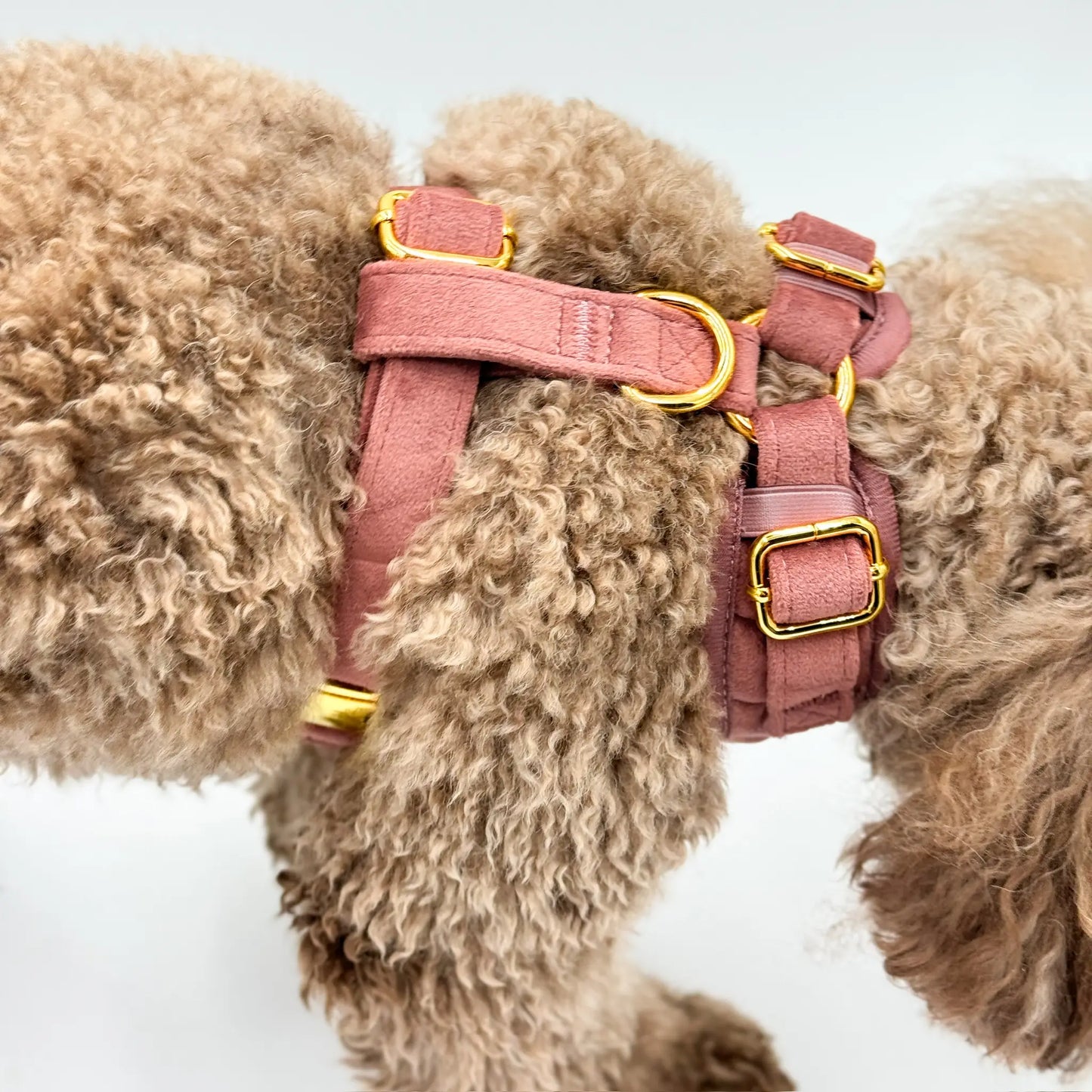 Druckfreies Hundegeschirr aus Samt – Altrosa
